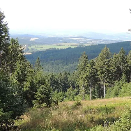 Dom wakacyjny - Adlergebirge 949 *